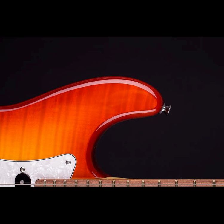 E-Gitarre-Blade-Modell-Texas-Deluxe-TE-2-honey-bur_0006.jpg