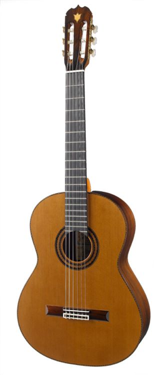 klassische-Gitarre-Ramirez-Modell-Elite-Spec-Ficht_0001.jpg