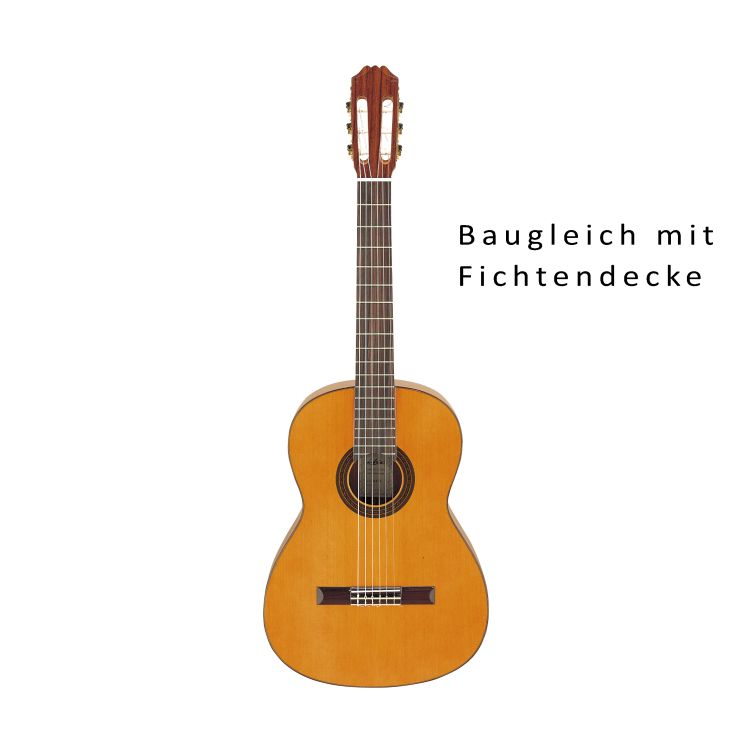 klassische-Gitarre-Aria-Modell-AC-35SP-Fichte-Maha_0001.jpg