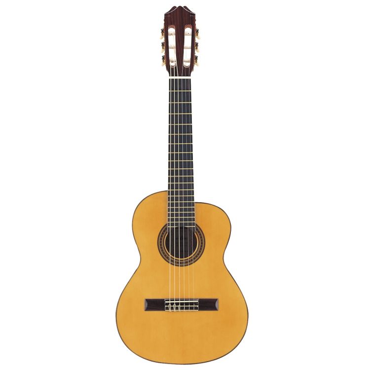 klassische-Gitarre-Aria-Modell-AC-50SP-Fichte-Pali_0001.jpg