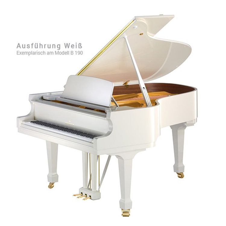 Fluegel-C-Bechstein-Modell-Academy-A-208-weiss-pol_0001.jpg