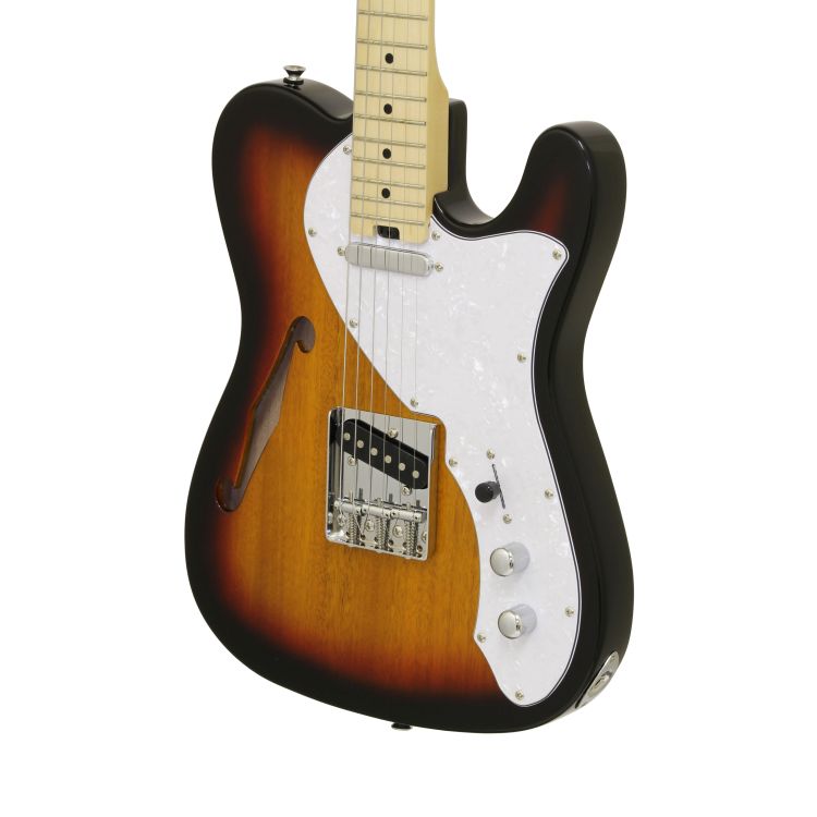 E-Gitarre-Aria-Modell-615-TL-Modern-Classics-Semi-_0003.jpg