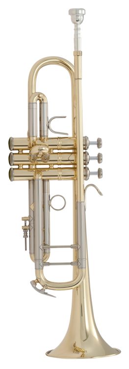 Trompete-in-Bb-Bach-Modell-LT18037-_0001.jpg