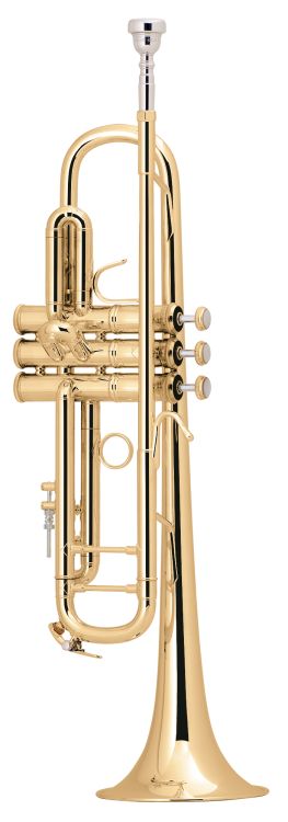 Trompete-in-Bb-Bach-Modell-LT18043-_0001.jpg