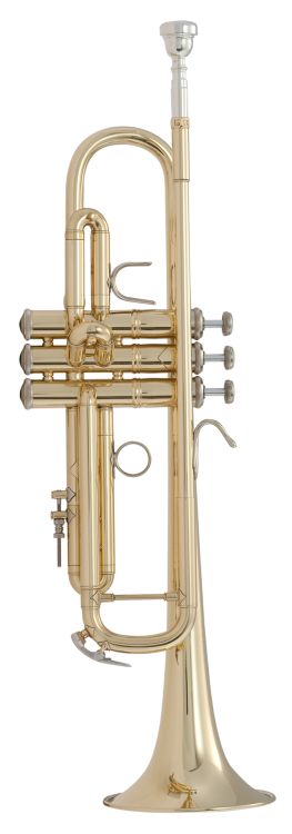B-Trompete-Bach-LR18043GoldBrass-_0001.jpg