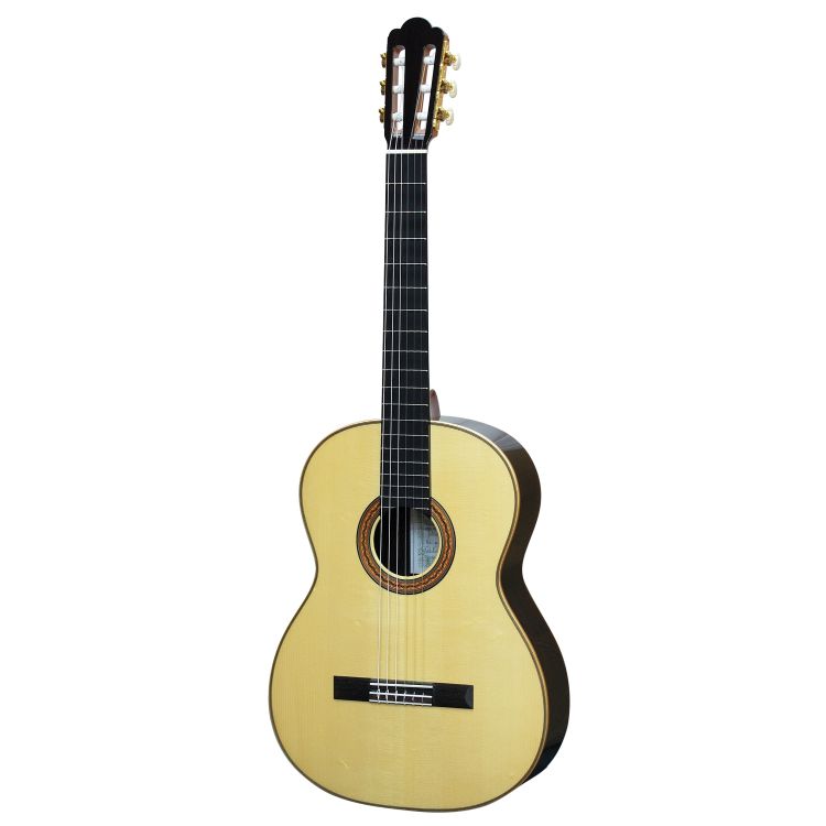 klassische-Gitarre-Asturias-Modell-Tsuji-Wataru-S-_0001.jpg