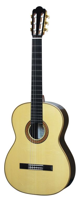 klassische-Gitarre-Asturias-Modell-Tsuji-Wataru-S-_0002.jpg