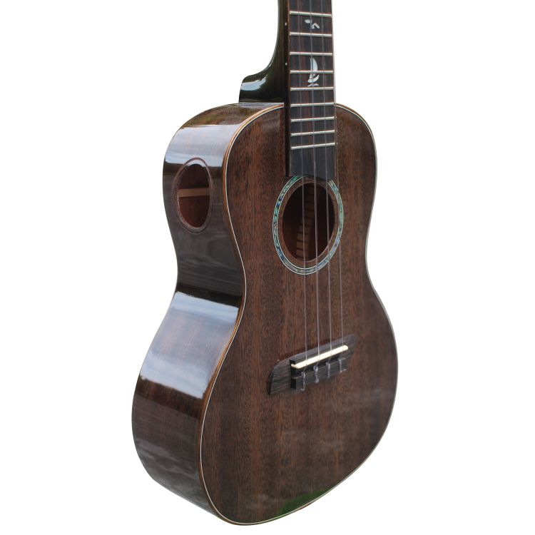 Concertukulele-Kai-Modell-KCI-100G-BK-Sapele-dunke_0005.jpg