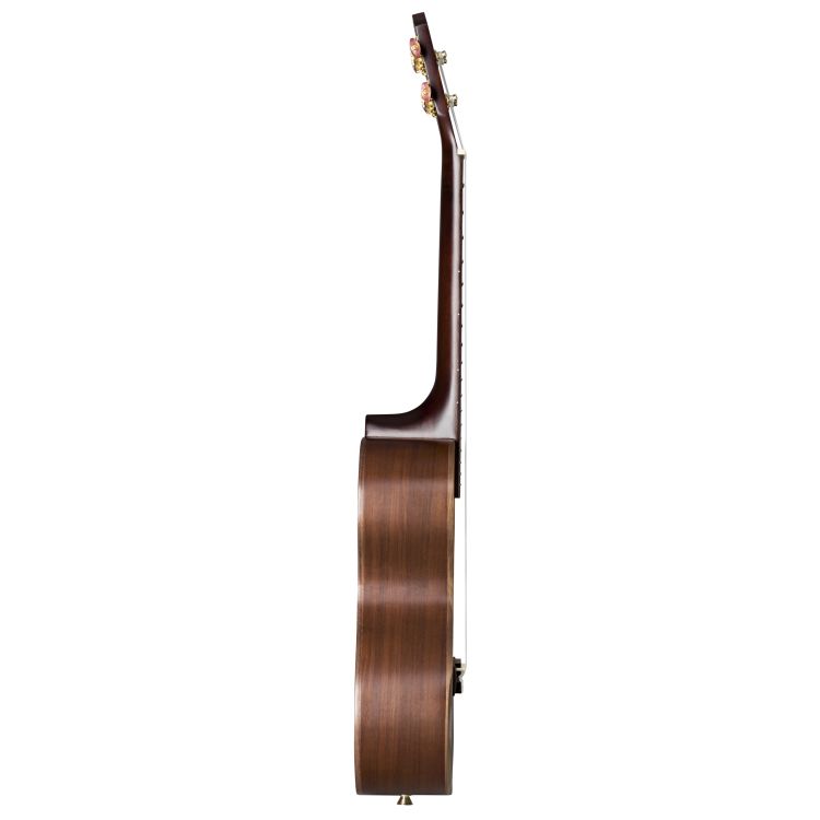 Tenorukulele-Baton-Rouge-Modell-UTW-T-Wild-Service_0003.jpg