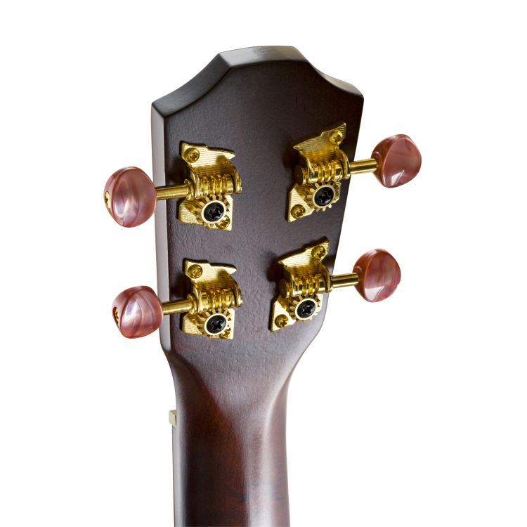 Tenorukulele-Baton-Rouge-Modell-UTW-T-Wild-Service_0005.jpg