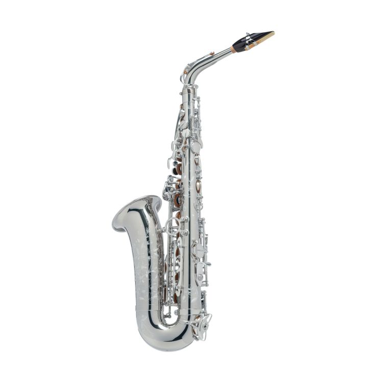 Alt-Saxophon-Selmer-Alto-Supreme-versilbert-_0002.jpg