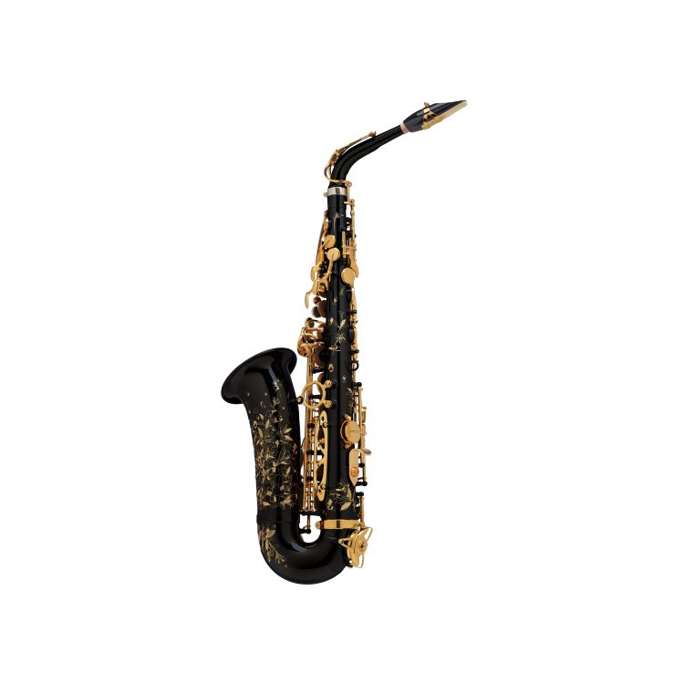 Alt-Saxophon-Selmer-Alto-Supreme-schwarz-_0002.jpg
