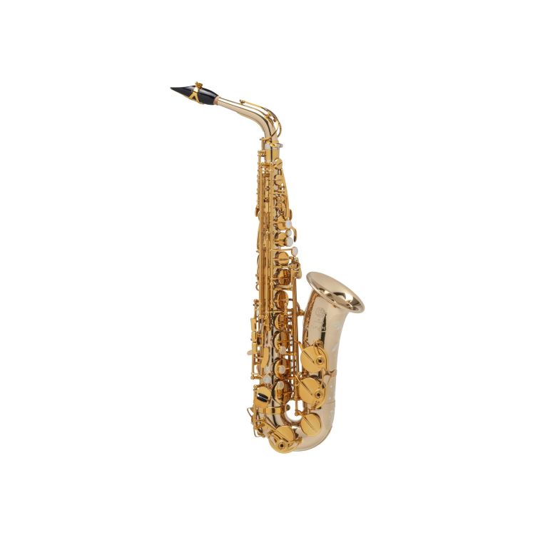 Alt-Saxophon-Selmer-Supreme-silber-_0001.jpg