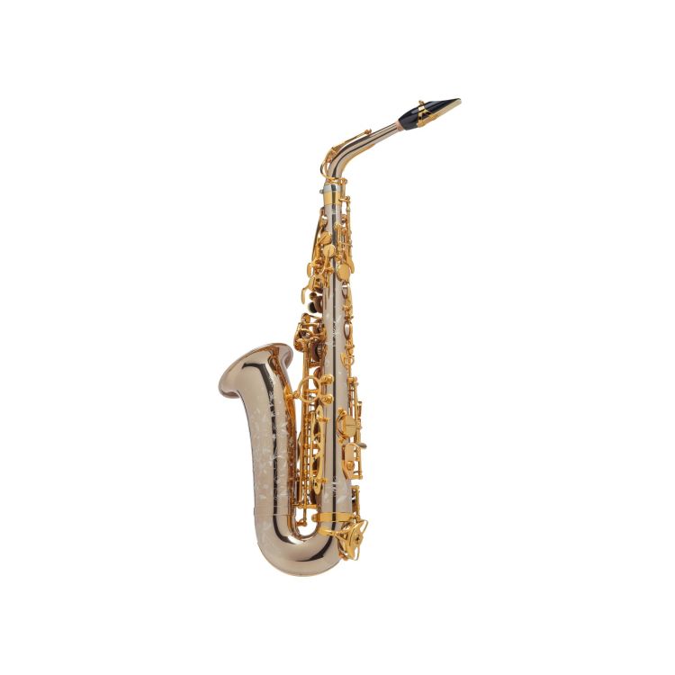 Alt-Saxophon-Selmer-Alto-Supreme-silber-_0002.jpg