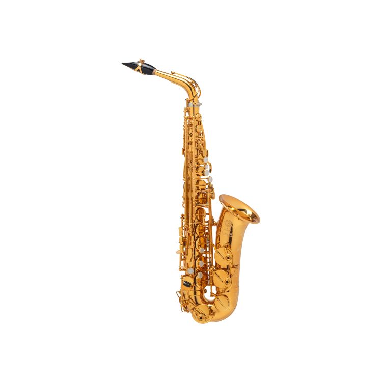 Alt-Saxophon-Selmer-Alto-Supreme-vergoldet-_0001.jpg
