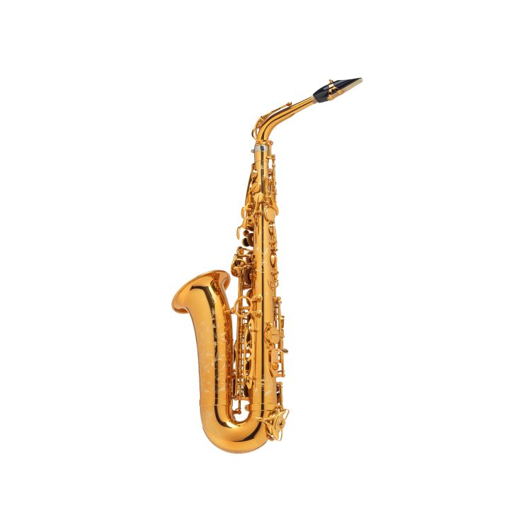 Alt-Saxophon-Selmer-Alto-Supreme-vergoldet-_0002.jpg