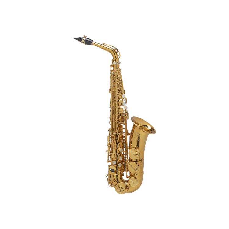 Alt-Saxophon-Selmer-Alto-Supreme-lackiert-_0002.jpg