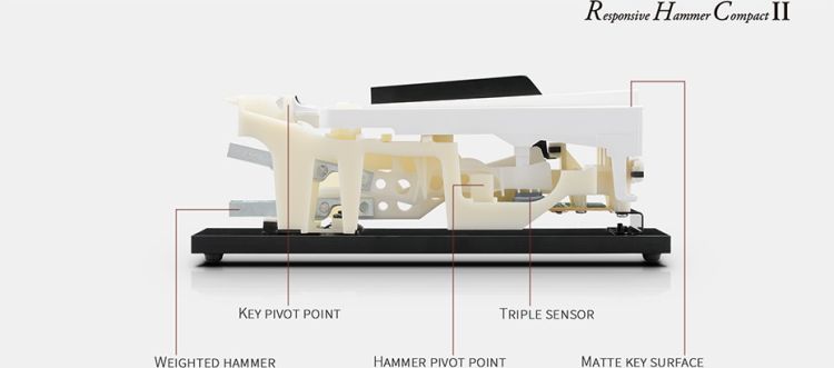 Digital-Piano-Kawai-Modell-KDP-120-Palisander-Rose_0007.jpg