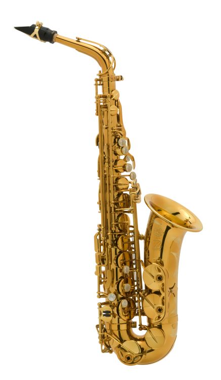 Alt-Saxophon-Selmer-Reference-lackiert-_0003.jpg