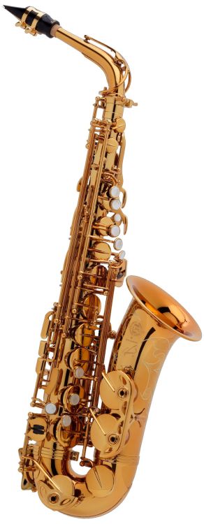 Alt-Saxophon-Selmer-Reference-lackiert-_0004.jpg