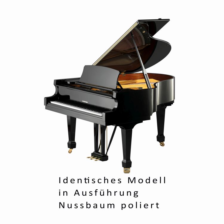 Fluegel-W-Hoffmann-Modell-Tradition-177-poliert-Nu_0001.jpg