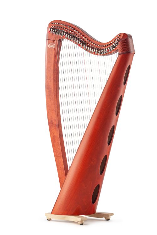 Klappenharfe-Salvi-Modell-M2-cherry-_0002.jpg