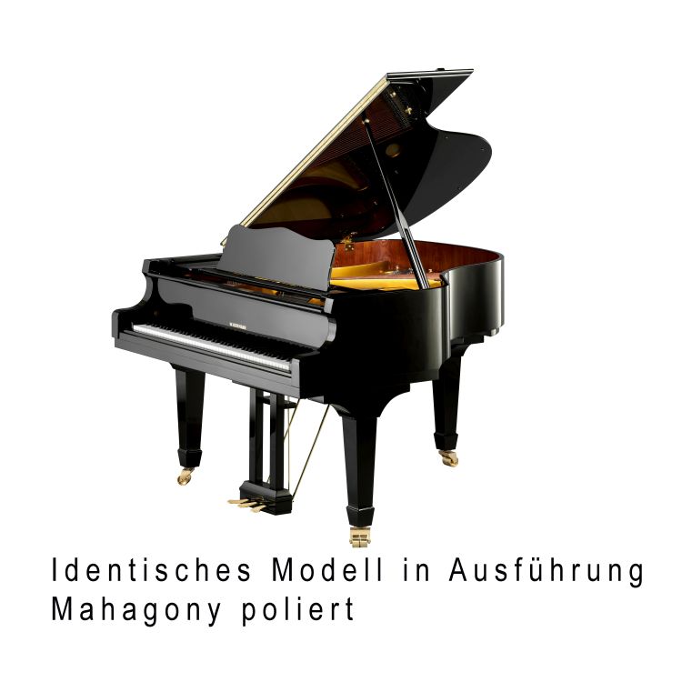 Fluegel-W-Hoffmann-Modell-Vision-V-158-poliert-Mah_0001.jpg