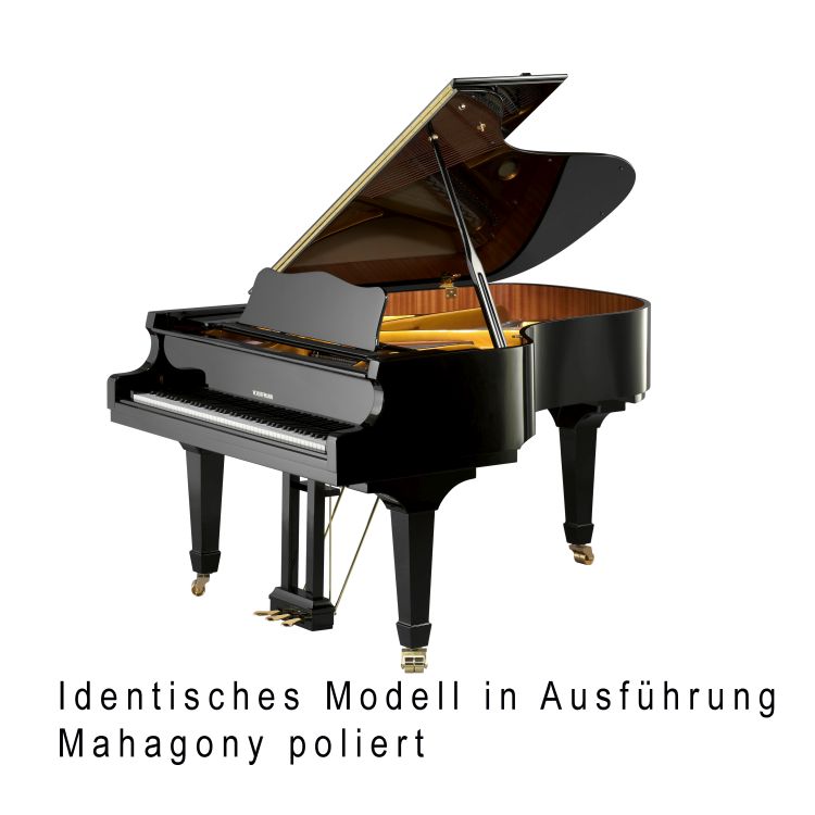 Fluegel-W-Hoffmann-Modell-Vision-V-183-poliert-Mah_0001.jpg