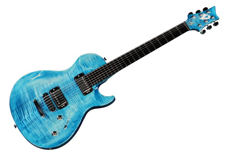 E-Gitarre-Vigier-Modell-G-V-Wood-blau-inkl-Koffer-_0001.jpg