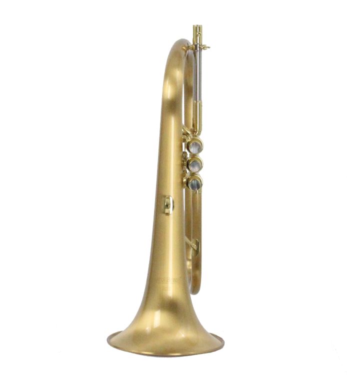 Fluegelhorn-Carol-Brass-Gold-satiniert-_0002.jpg