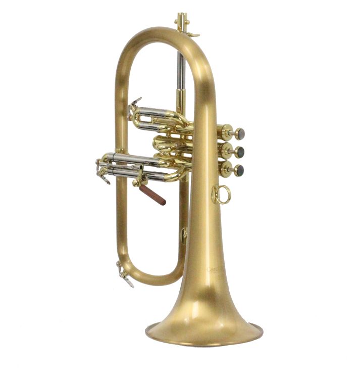 Fluegelhorn-Carol-Brass-Gold-satiniert-_0003.jpg