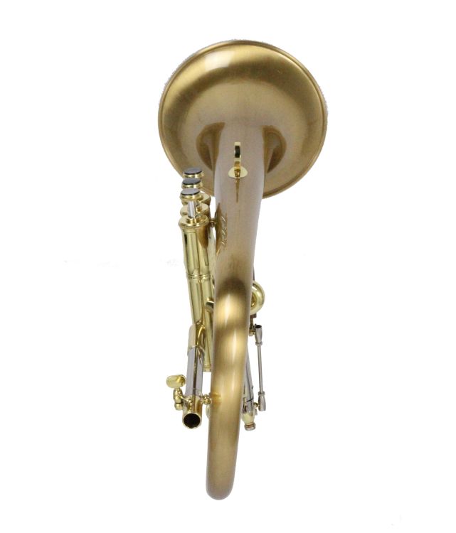 Fluegelhorn-Carol-Brass-Gold-satiniert-_0005.jpg