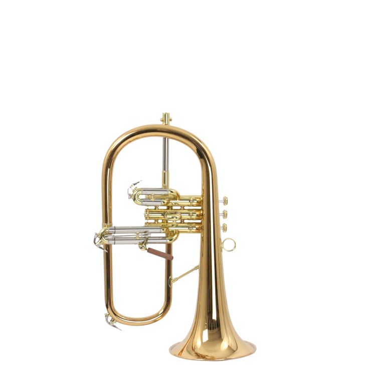 Fluegelhorn-Carol-Brass-Rose-lackiert-_0004.jpg