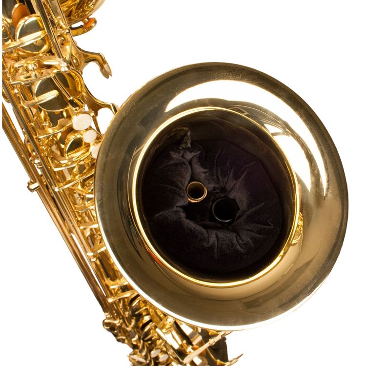 Bariton-Saxophon-ProTec-A-208-fuer-Mundstueck-und-_0003.jpg