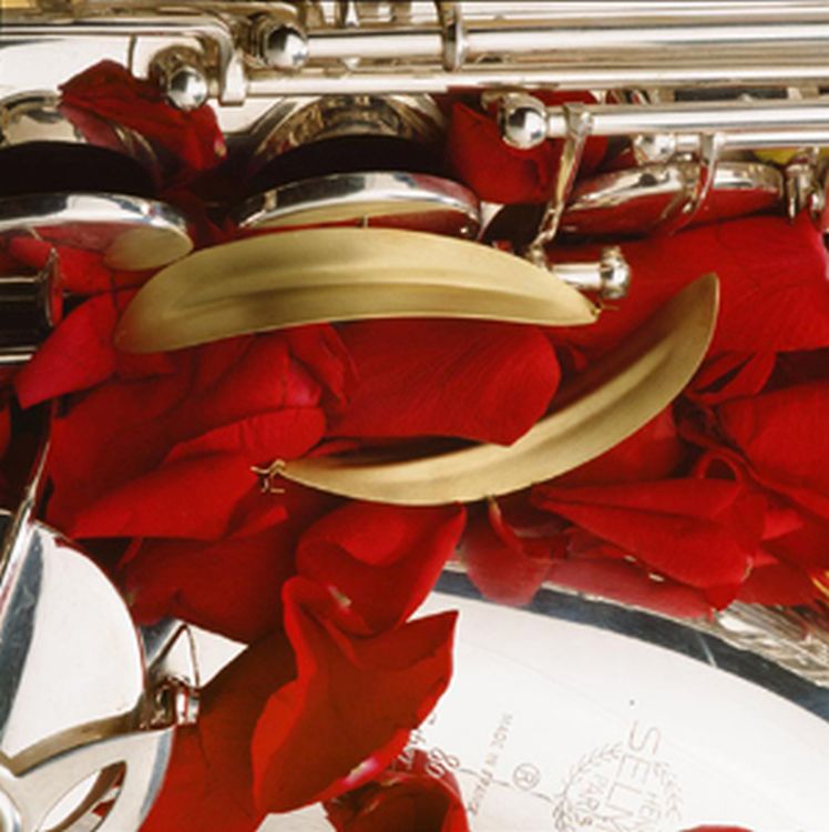 Selmer-Ohrringe-Firebird-Messing-satiniert-       _0002.jpg