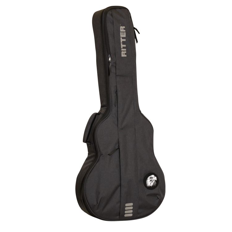 Ritter-Bern-335-Guitar-Anthracite-Zubehoer-zu-E-Gi_0002.jpg