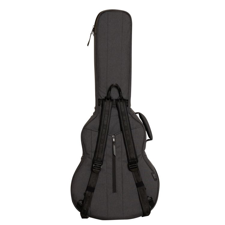 Ritter-Bern-335-Guitar-Anthracite-Zubehoer-zu-E-Gi_0003.jpg