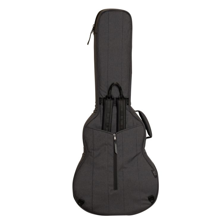 Ritter-Bern-335-Guitar-Anthracite-Zubehoer-zu-E-Gi_0004.jpg