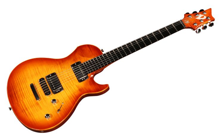 E-Gitarre-Vigier-Modell-G-V-Wood-Amber-amber-_0001.jpg