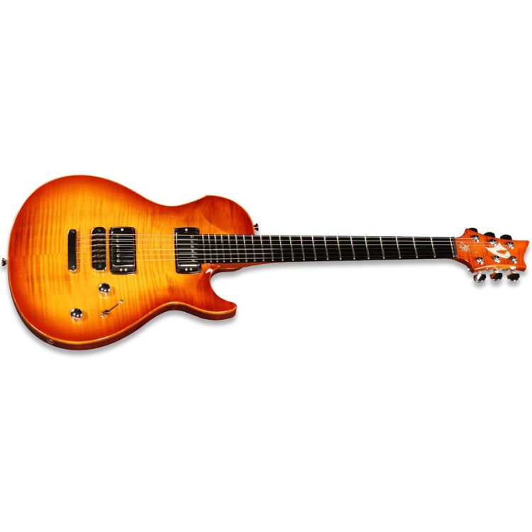 E-Gitarre-Vigier-Modell-G-V-Wood-Amber-amber-_0003.jpg