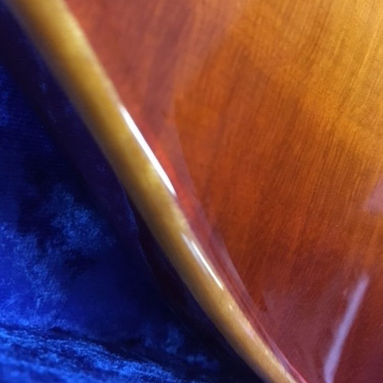 E-Gitarre-Vigier-Modell-G-V-Wood-Amber-amber-_0005.jpg
