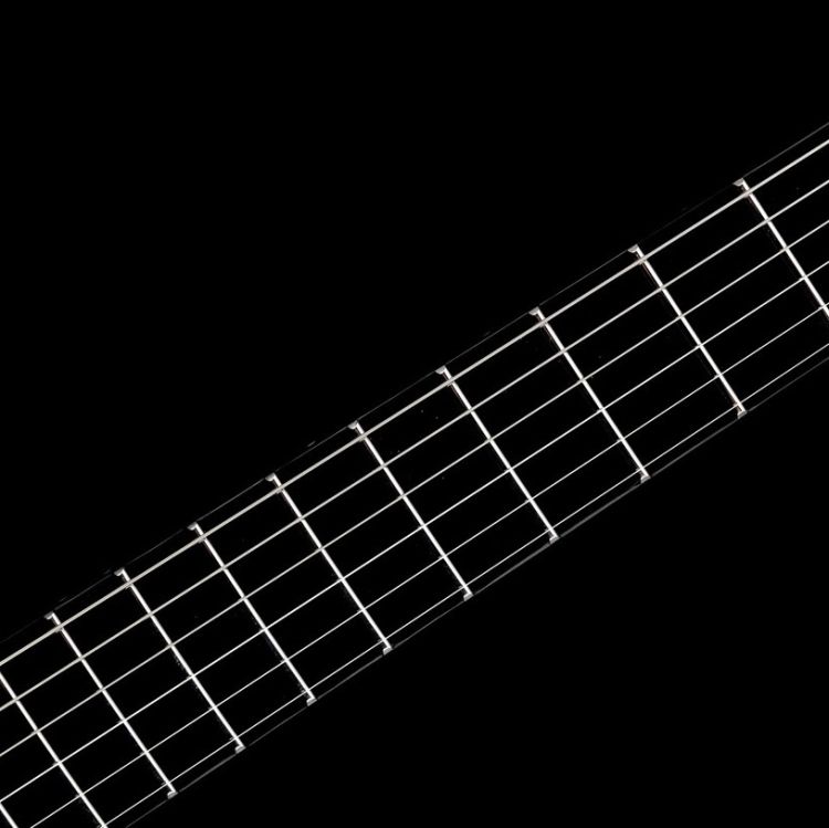 E-Gitarre-Vigier-Modell-G-V-Wood-Amber-amber-_0006.jpg