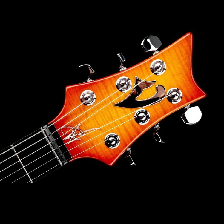 E-Gitarre-Vigier-Modell-G-V-Wood-Amber-amber-_0008.jpg
