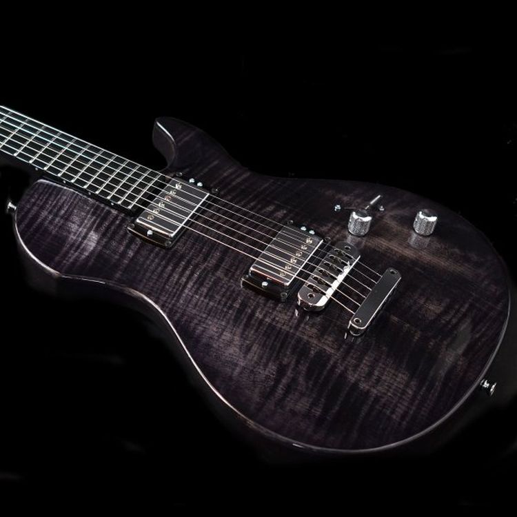 E-Gitarre-Vigier-Modell-G-V-Wood-ebony-fade-_0003.jpg