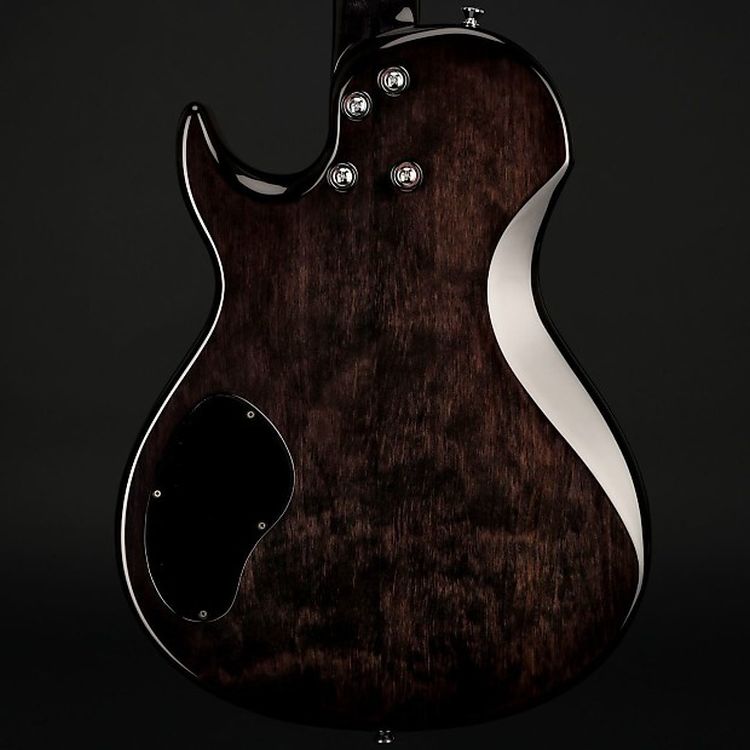E-Gitarre-Vigier-Modell-G-V-Wood-schwarz-inkl-Koff_0005.jpg