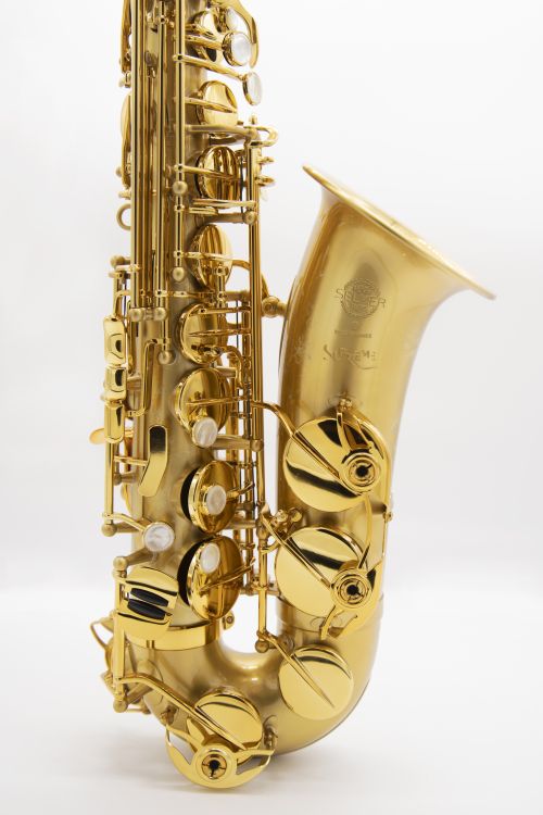 Alt-Saxophon-Selmer-Supreme-satiniert-_0003.jpg